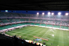 چمن مناسب در استادیوم استدیو بنیتو ویلا مارین- رئال بتیس