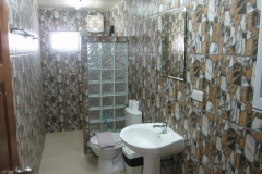 حمام و سرویس بهداشتی در رختکن  استادیوم بورسیا پارک مونشن گلاد باخ