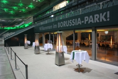 نمای بیرونی سالن پذیرایی VIP  استادیوم بورسیا پارک مونشن گلاد باخ