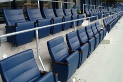 صندلی های جایگاه ویژه استادیوم رین نکار آرنا