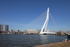 پل اراسموس در شهر روتردام