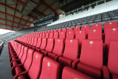 صندلی های ویژه در سکوی اصلی و جایگاه ویژه در استادیوم فریولی اودینزه