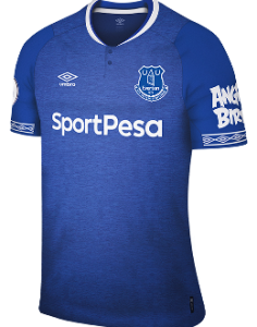 Everton Football Club cloths